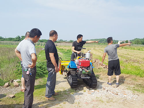 农业农村部：严打农业转基因生物非法经营等行为